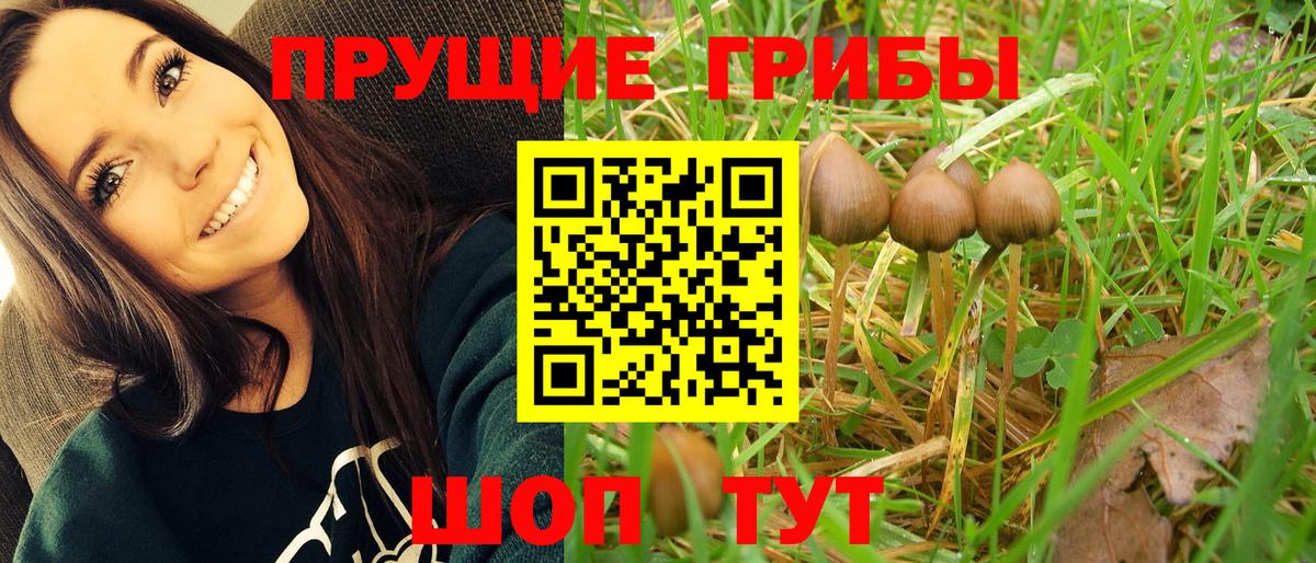 Галлюциногенные грибы GOLDEN TEACHER Орск