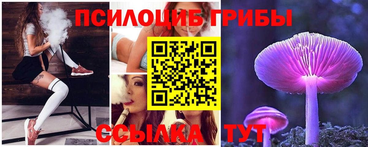 Орск  Псилоцибиновые грибы мицелий  Вход с VPN 